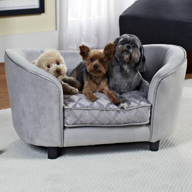 Cheap store dog couch